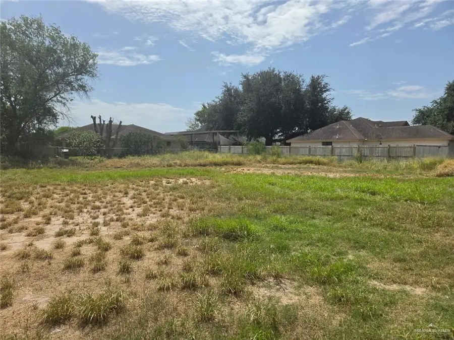 506 Tierra Linda Boulevard, Palmview, TX 78572 - #2