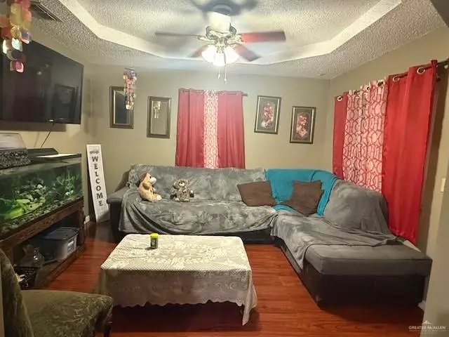 1507 W Guerra Avenue W, Roma, TX 78584 - #3