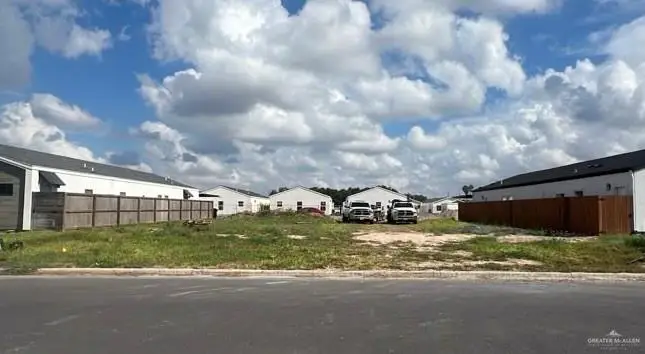 2600 Mockingbird Road, Weslaco, TX 78596 - #1