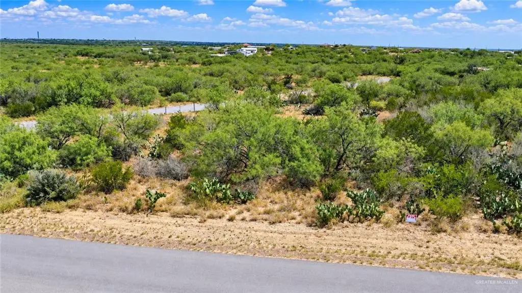 320 Raven Street, Zapata, TX 78076 - #1