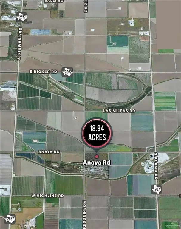000 Anaya Road, Alamo, TX 78516 - #2