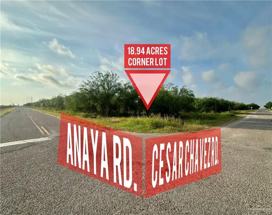 000 Anaya Road, Alamo, TX 78516 - #3