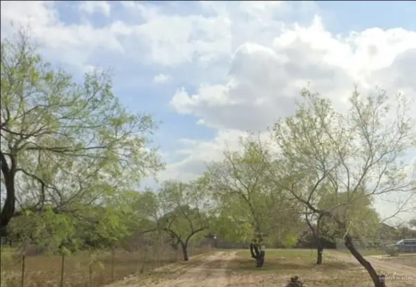 000 E La Pointe Avenue, Alton, TX 78504