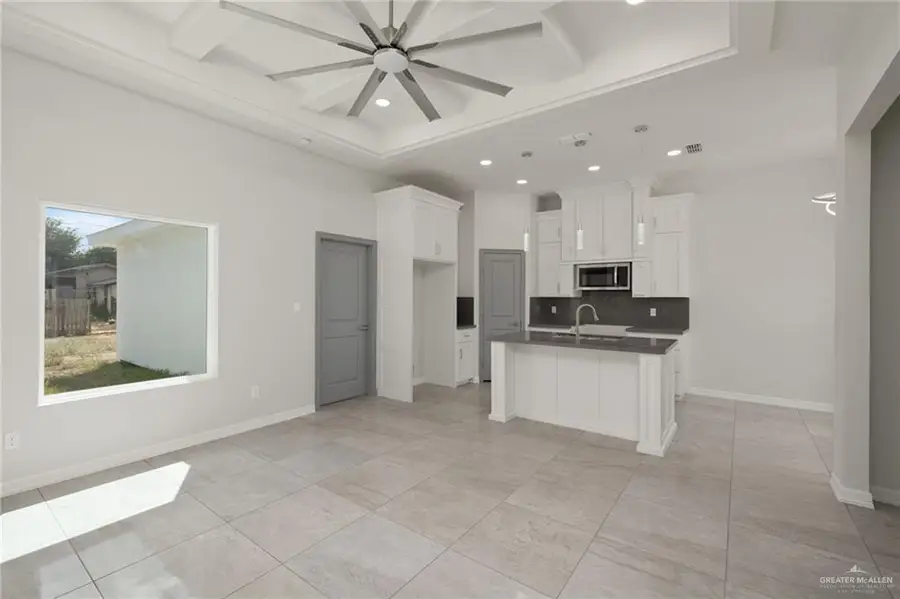 913 Trinity Street, Alamo, TX 78516 - #3