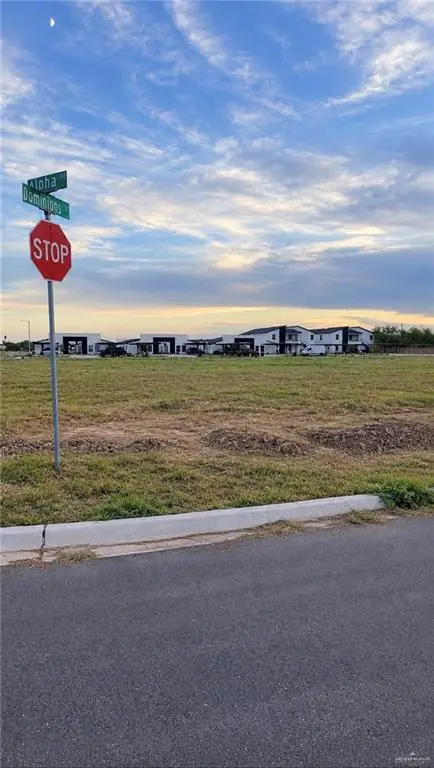 2809 Alpha Road, Weslaco, TX 78596 - #2