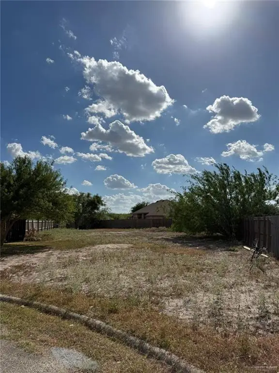 710 S 16th Street, Hidalgo, TX 78557