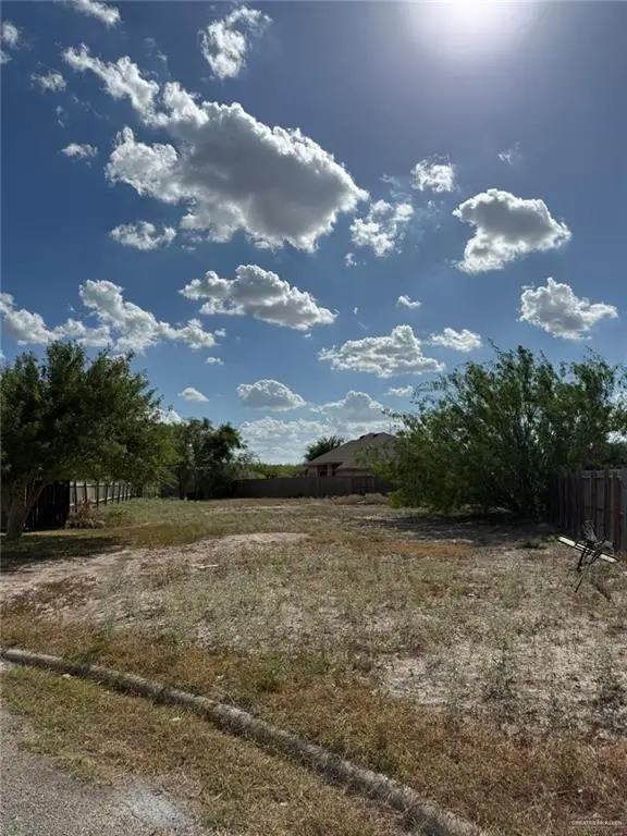 710 S 16th Street, Hidalgo, TX 78557 - #2