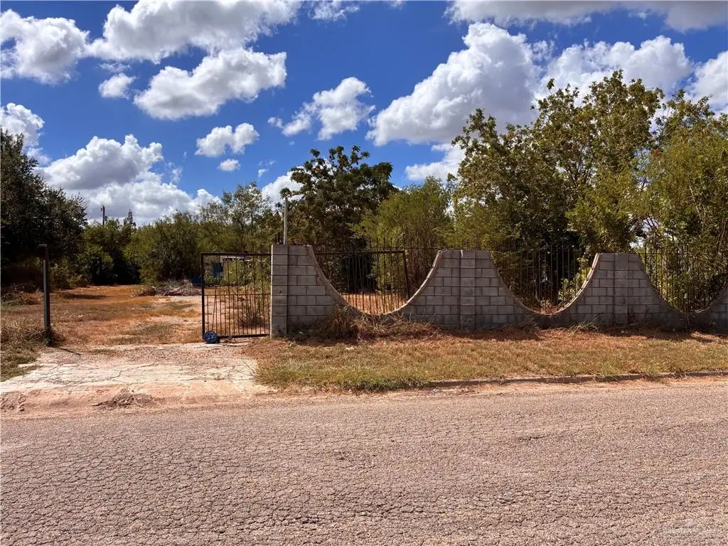 1214 Coyote Street, Donna, TX 78537 - #1