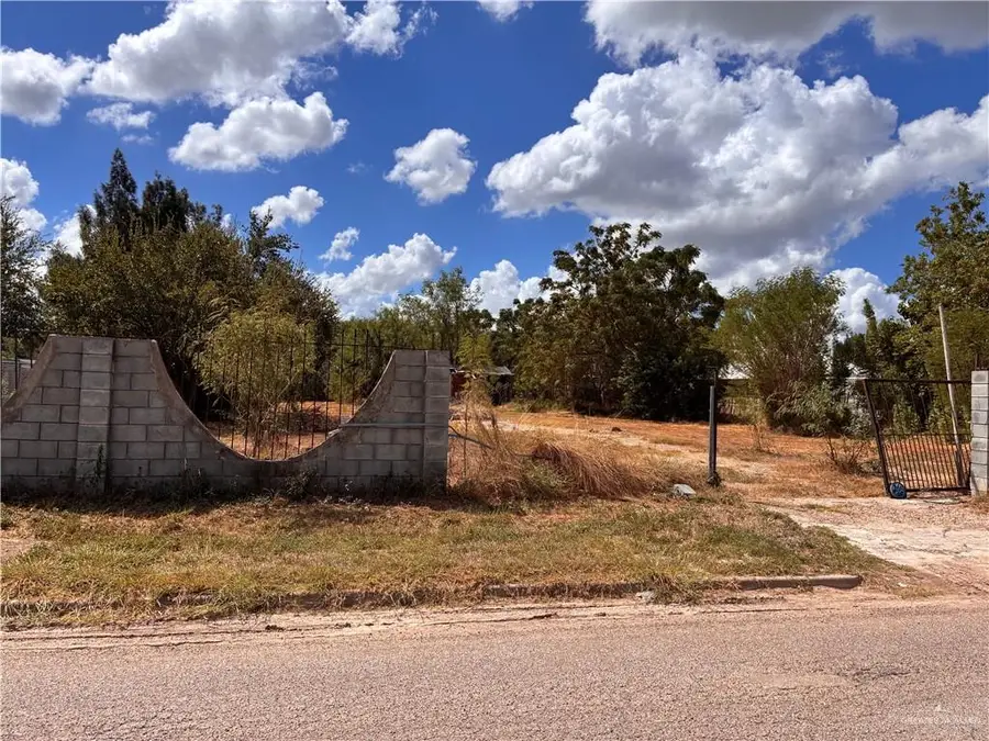 1214 Coyote Street, Donna, TX 78537 - #2