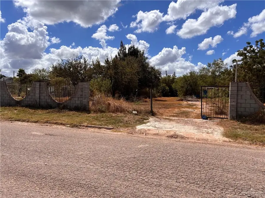 1214 Coyote Street, Donna, TX 78537 - #3