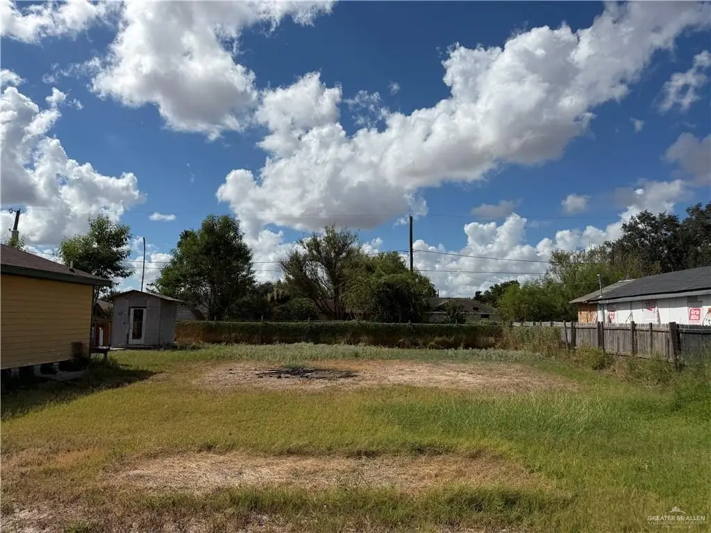 909 Trinity Street, Alamo, TX 78516 - #1