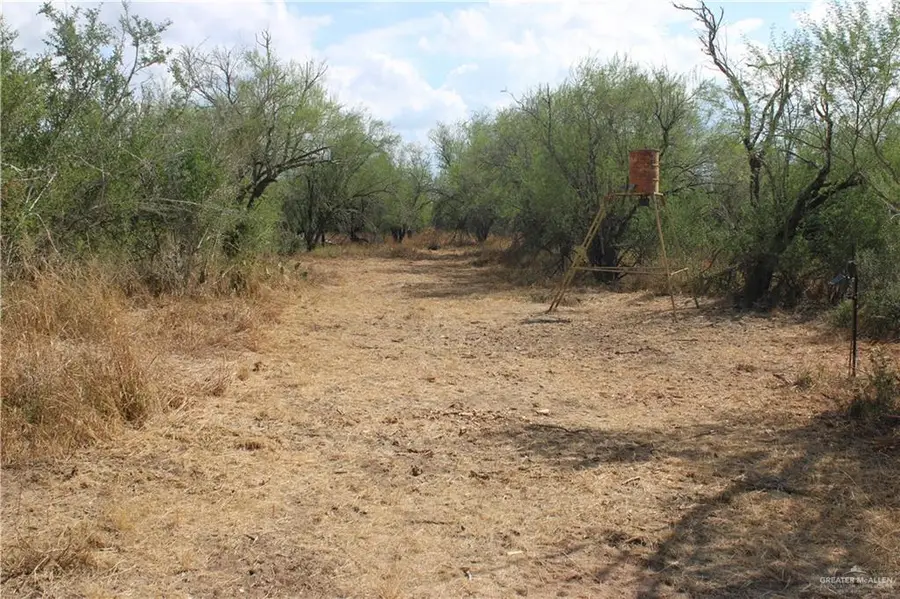0 Fm 339 Highway, Concepcion, TX 78349 - #3