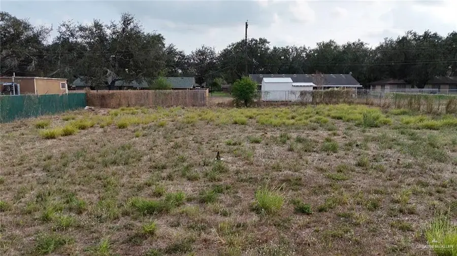 809 W Rice Street, Falfurrias, TX 78355 - #2