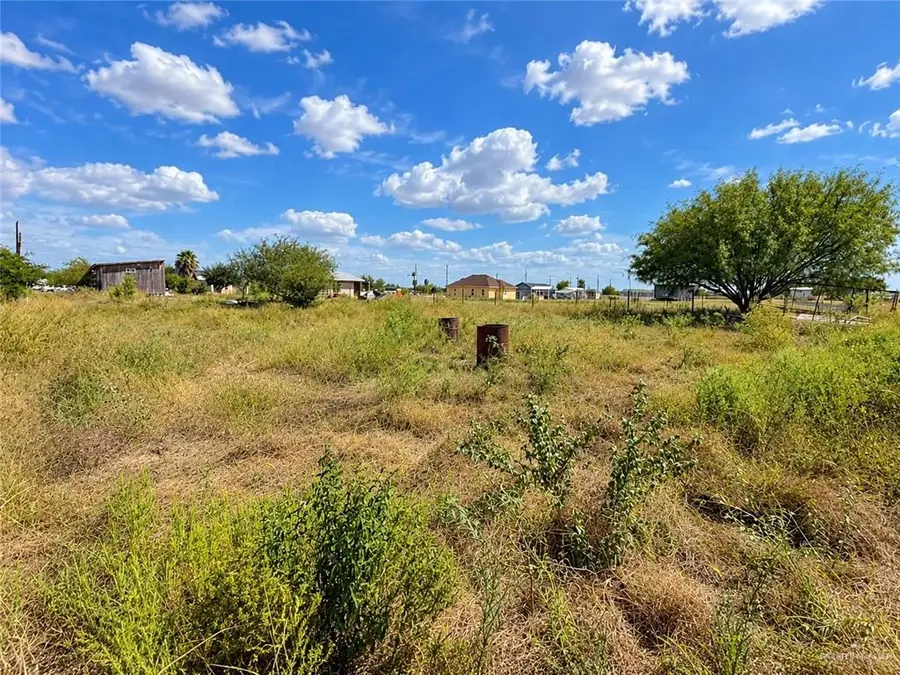 24611 Beach Street, Edcouch, TX 78538 - #3