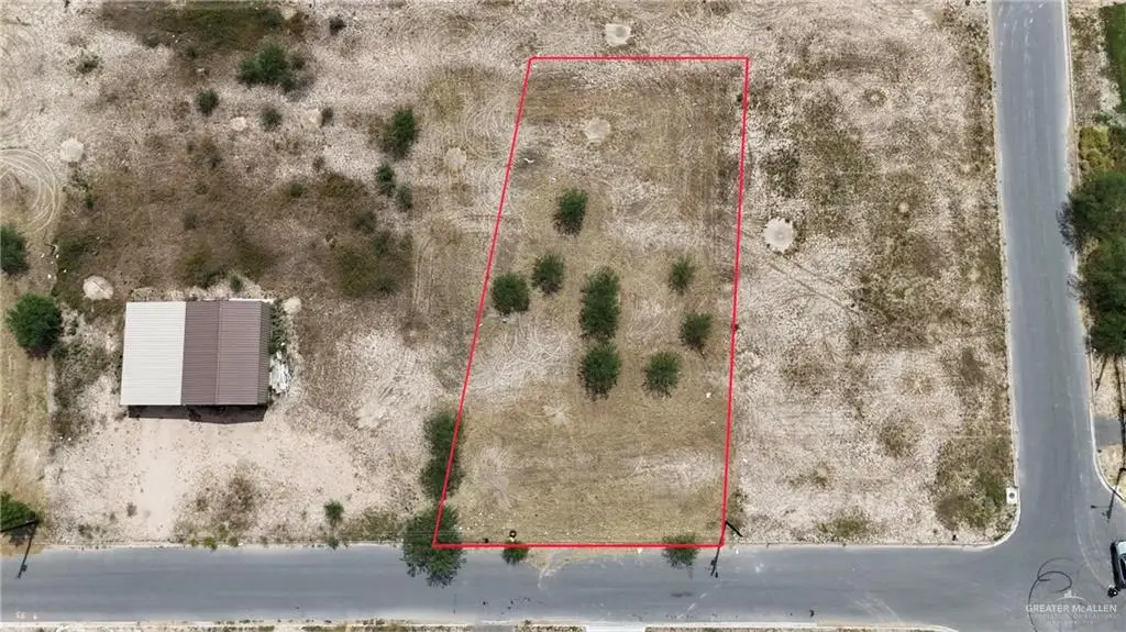 13723 Blueberry Drive, Donna, TX 78537 - #1