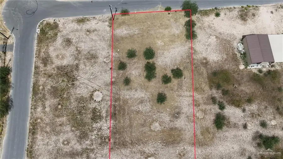 13723 Blueberry Drive, Donna, TX 78537 - #2