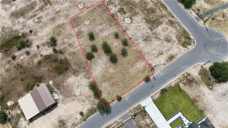 13723 Blueberry Drive, Donna, TX 78537 - #3