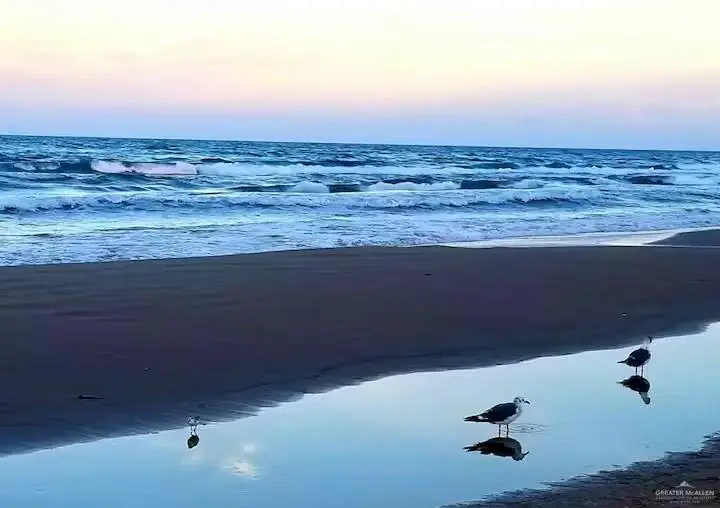 107 E Bahama Street #A4, South Padre Island, TX 78597 - #2