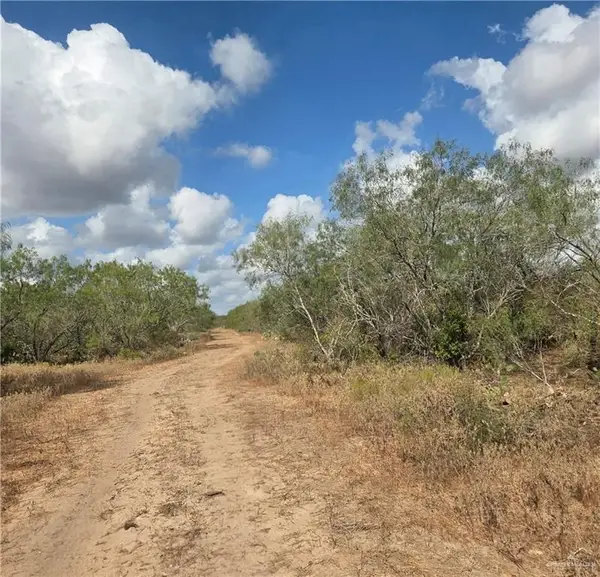 0000 Cr 217, Concepcion, TX 78349