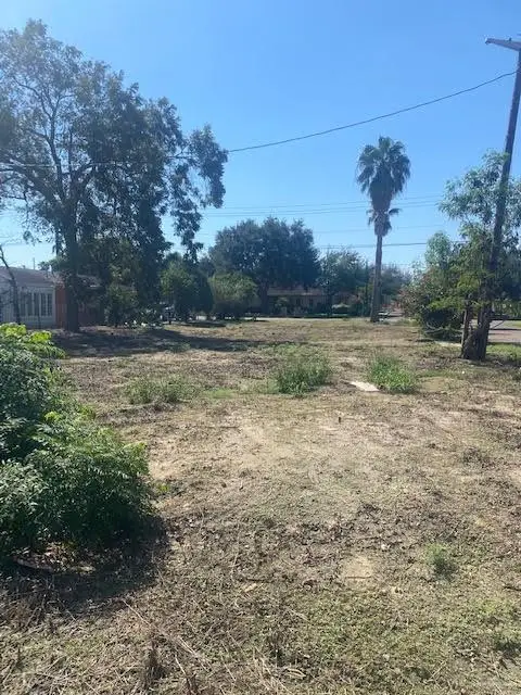 223 W Schunior Street W, Edinburg, TX 78541 - #2