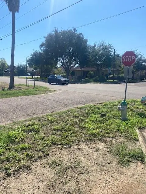 223 W Schunior Street W, Edinburg, TX 78541 - #3