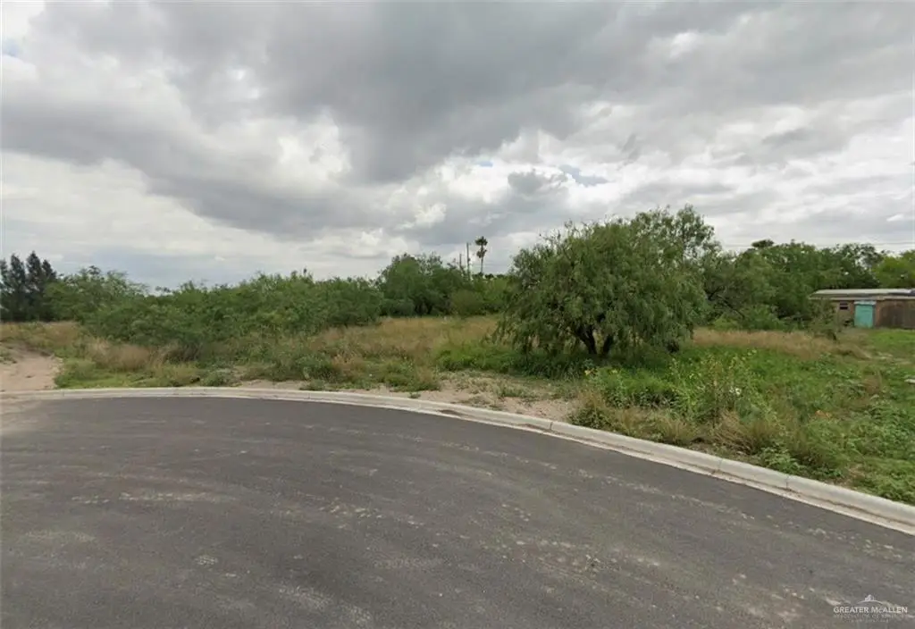 1218 Veronica Street, Progreso, TX 78579 - #1