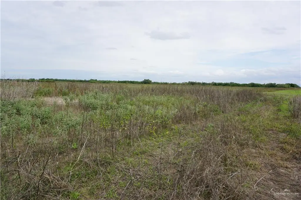 1/2 Jesus Flores Road, Monte Alto, TX 78538 - #1