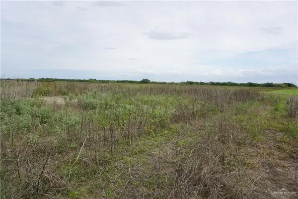 1/2 Jesus Flores Road, Monte Alto, TX 78538