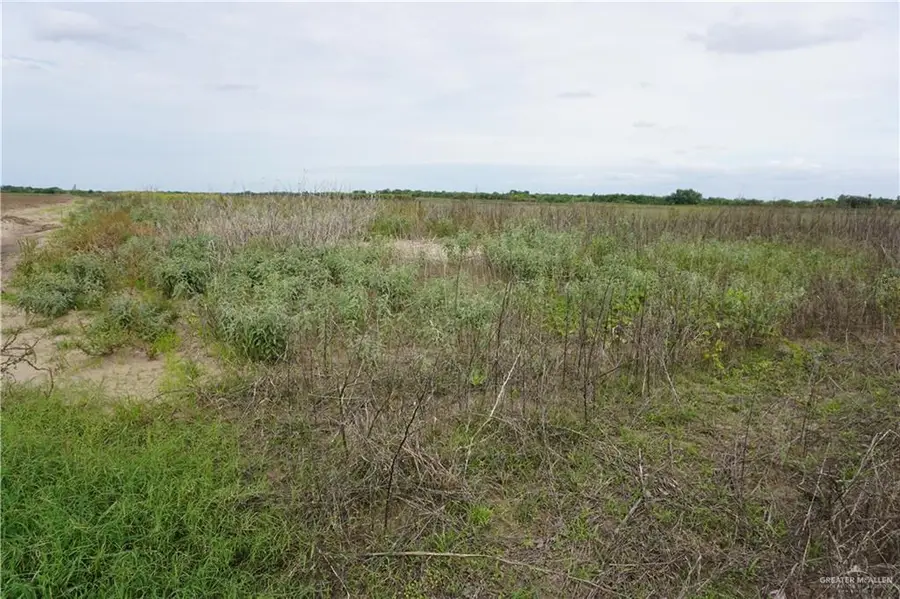1/2 Jesus Flores Road, Monte Alto, TX 78538 - #3