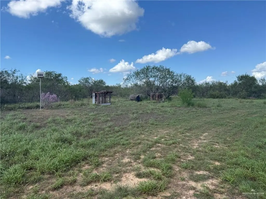 TBD Rancho Viejo Road, San Isidro, TX 78588 - #1