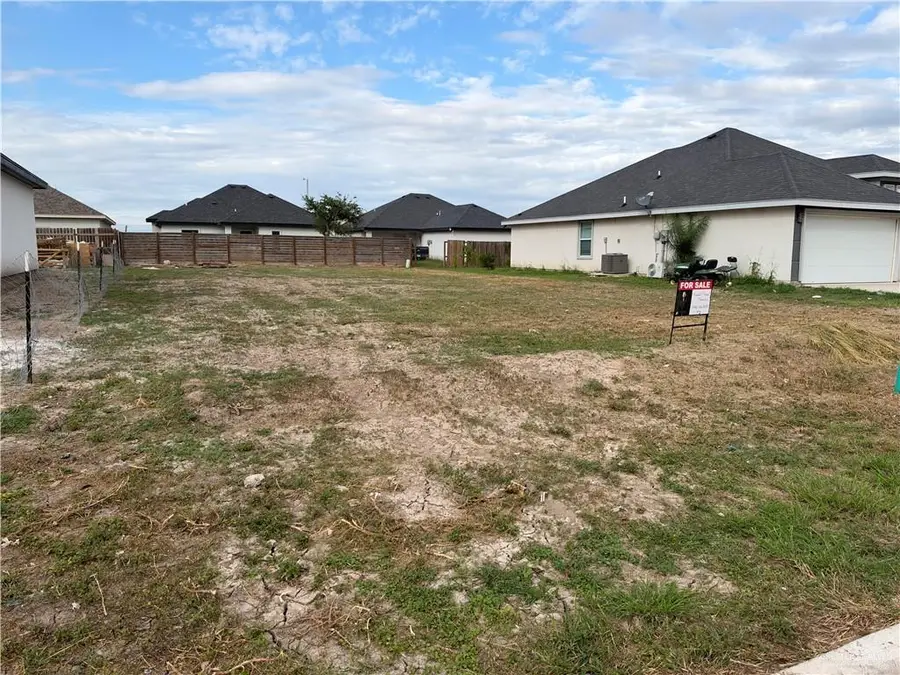 3107 E Uva Avenue, Hidalgo, TX 78577 - #2