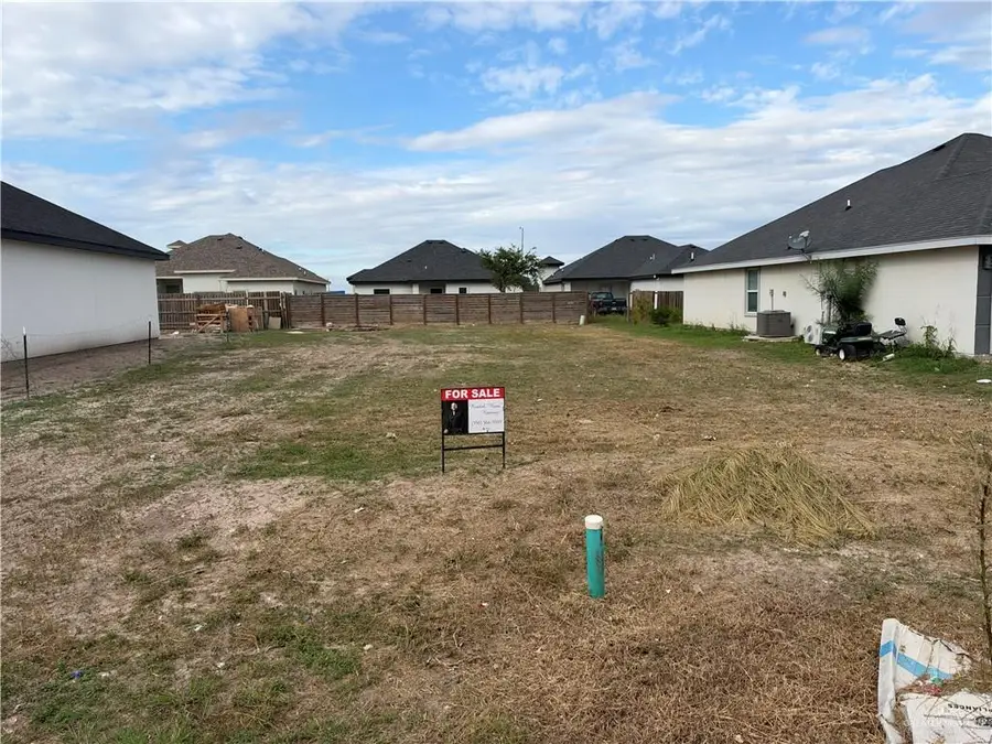 3107 E Uva Avenue, Hidalgo, TX 78577 - #3