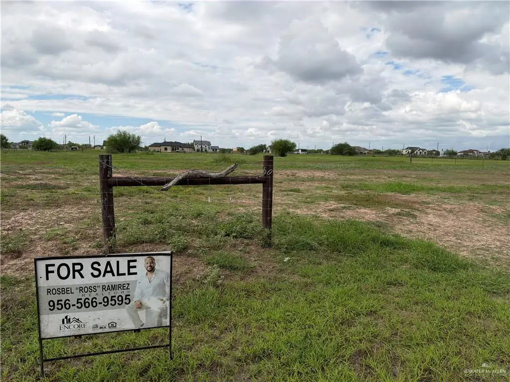 306 S Esperanza Street, Southeast Hidalgo, TX 78596 - #1