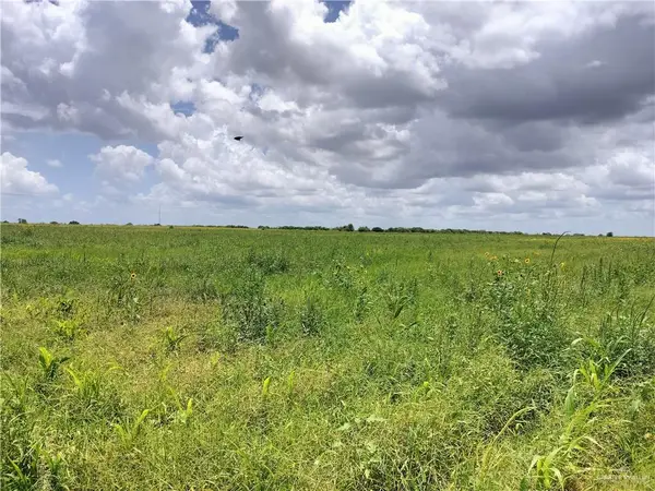 0000 Fm 490 Road, La Sara, TX 78561