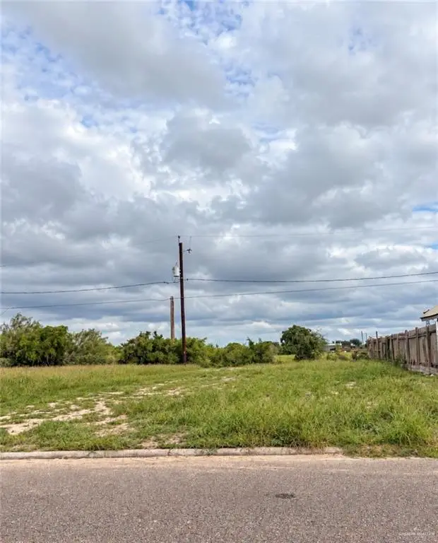 4808 Uranus Street, Edinburg, TX 78542 - #1