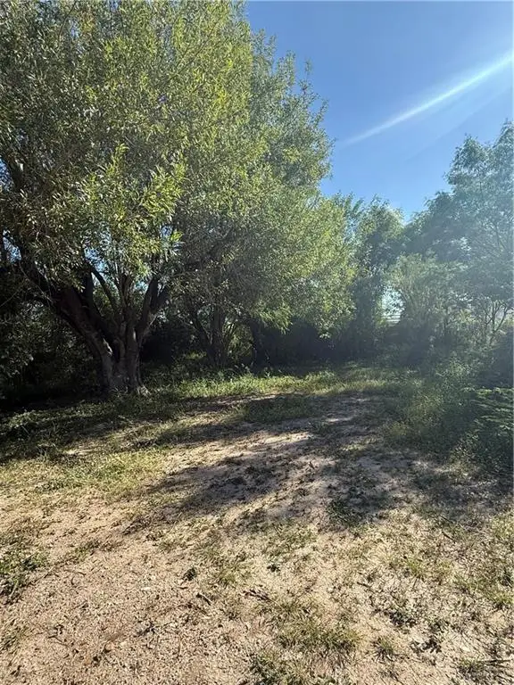 000 Quebec Street, Mission, TX 78572 - #2
