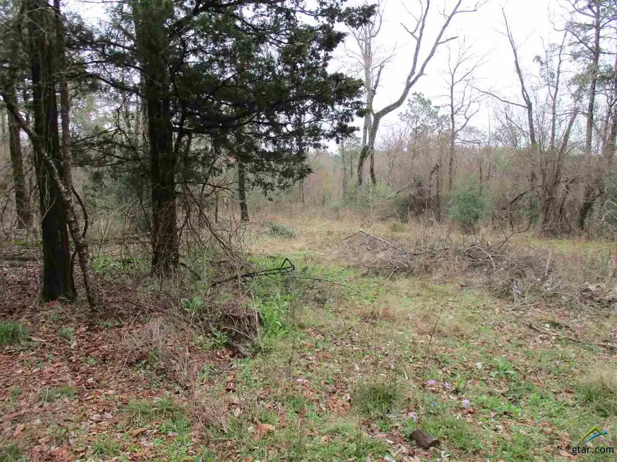 TBD CR 2109, Rusk, TX 75785 - Image #3