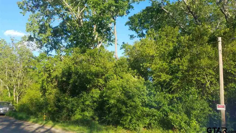 703 Myrtle Dr, Jacksonville, TX 75766 - Image #3