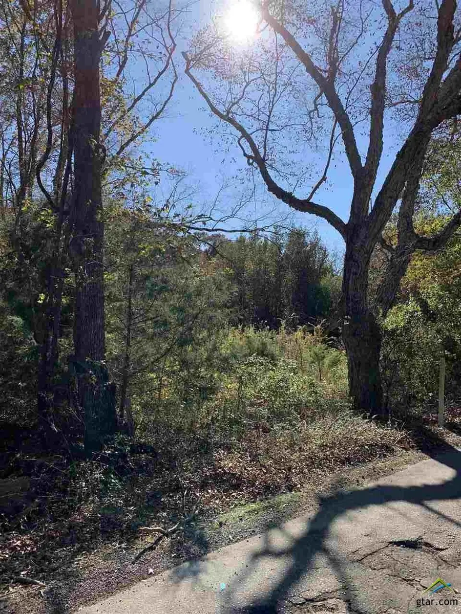 TBD CR 472 & I20, Lindale, TX 75771 - Image #2