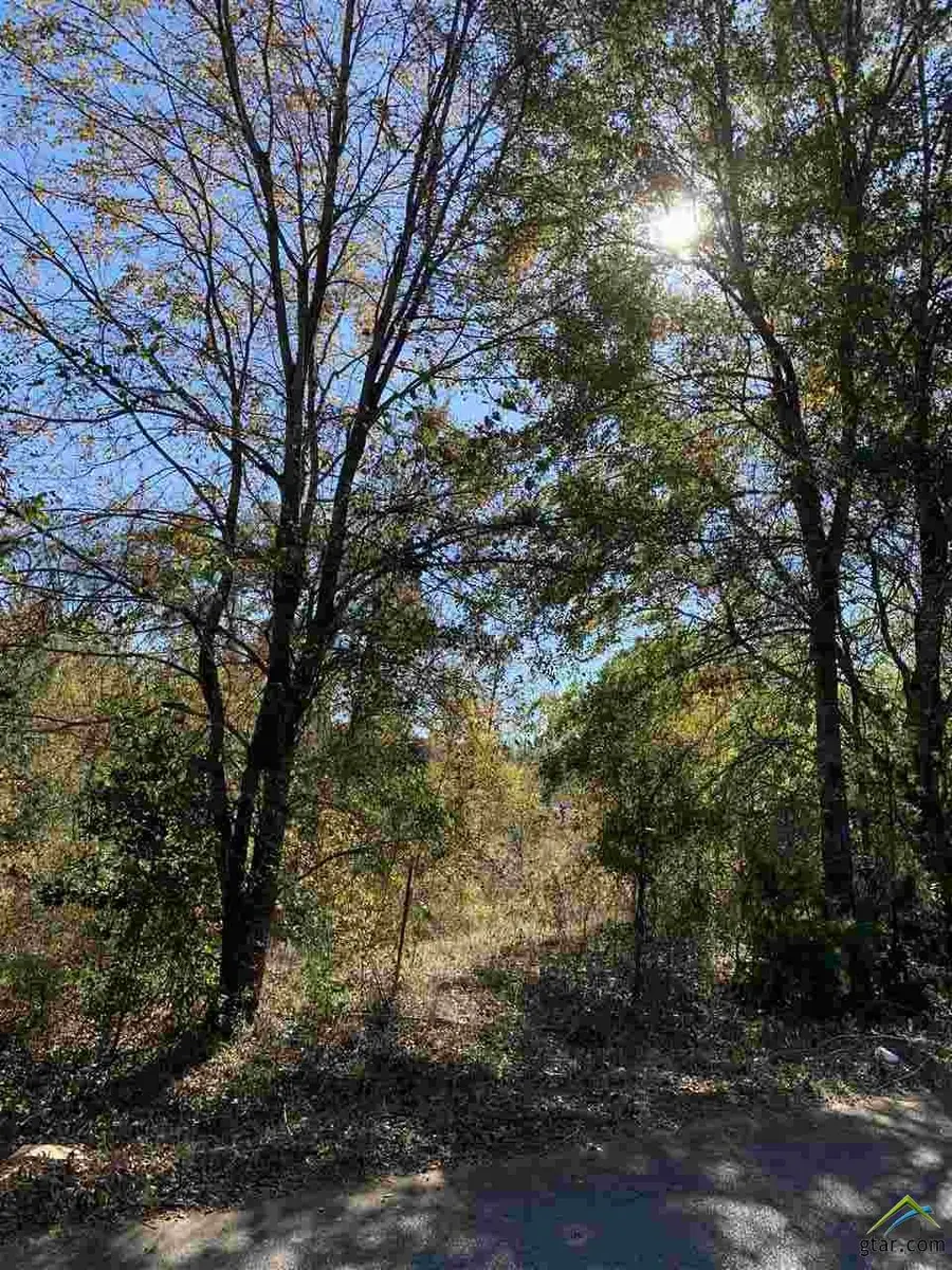 TBD CR 472 & I20, Lindale, TX 75771 - Image #3