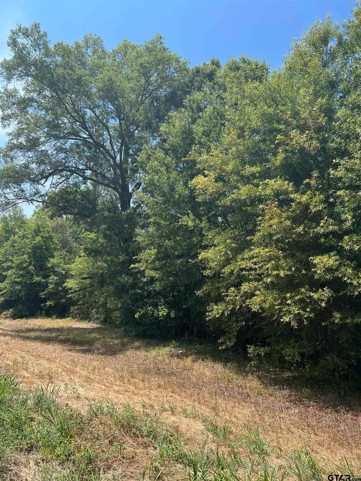 TBD FM 3042, Pittsburg, TX 75686 - #1