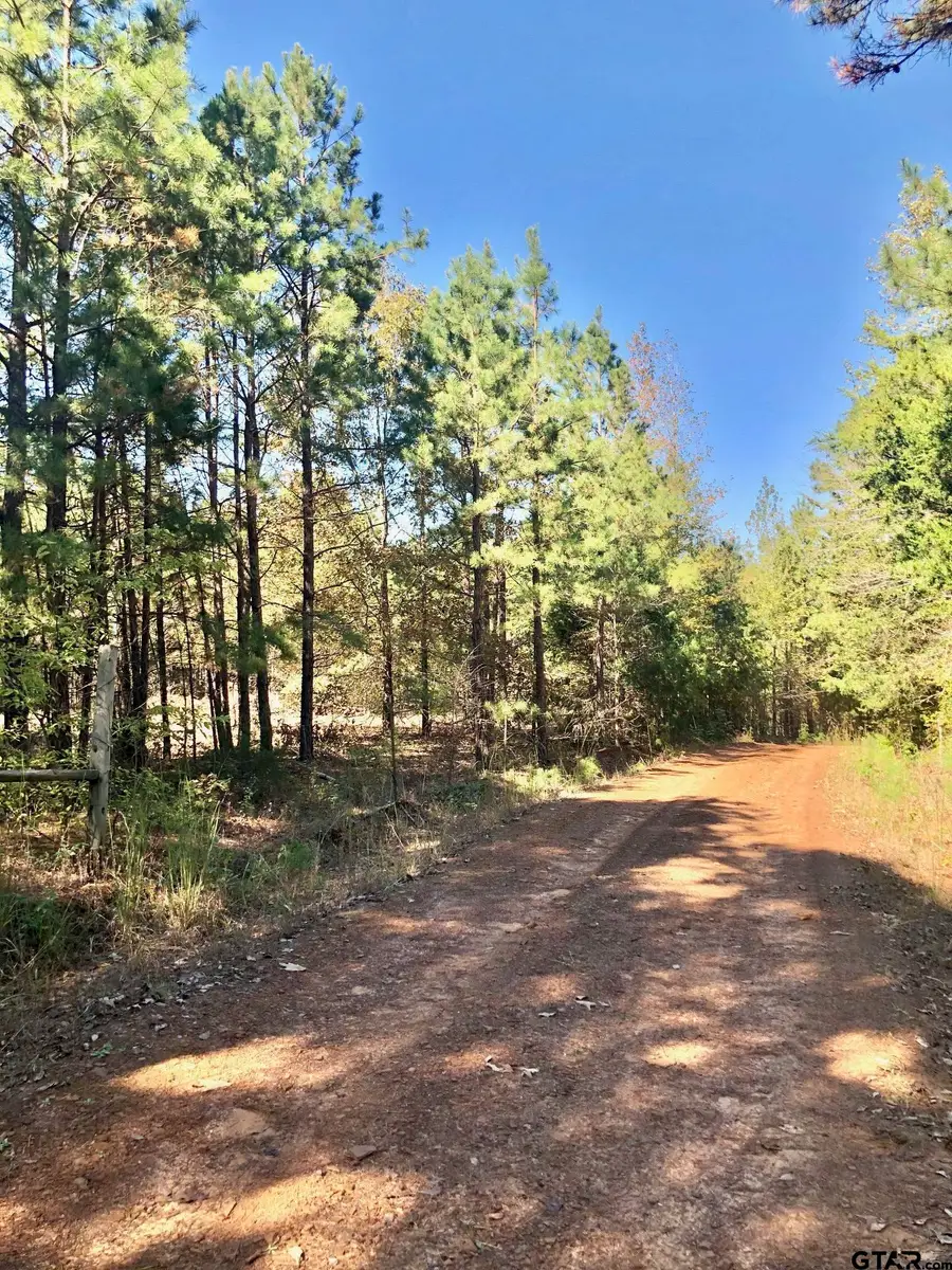 TBD CR 3102, Winona, TX 75792 - Image #2