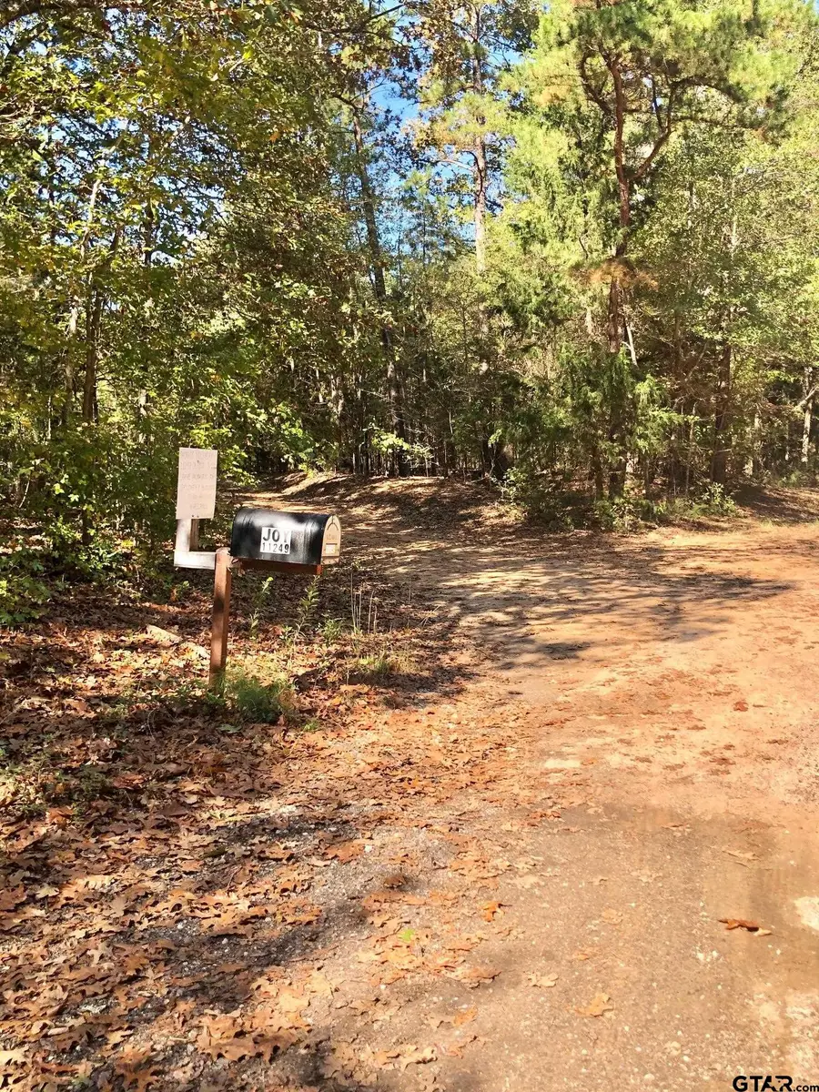 TBD CR 3102, Winona, TX 75792 - Image #3