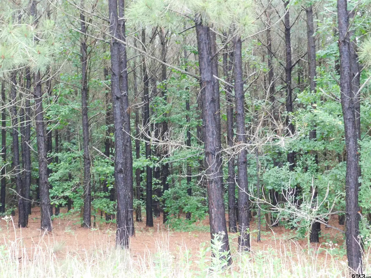 TBD GROUNDHOG, Gilmer, TX 75644 - Image #1
