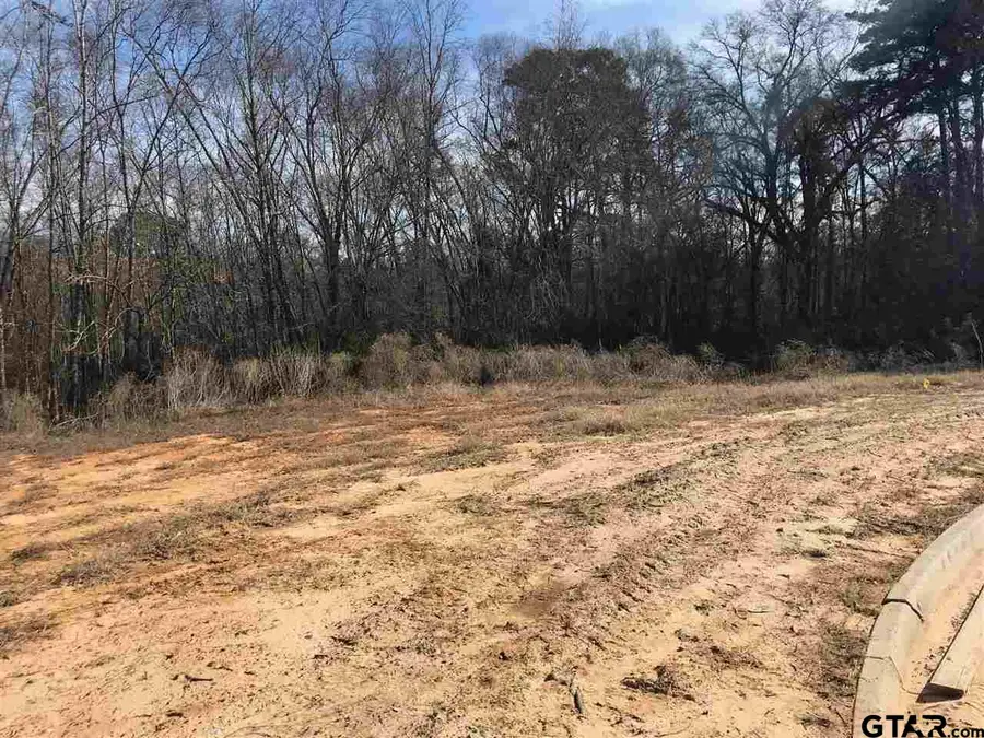 4126 Palo Pinto Creek Lot 203, Tyler, TX 75703 - #2