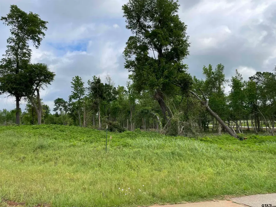 TBD Live Oak Lot 12, Alto, TX 75925 - #3