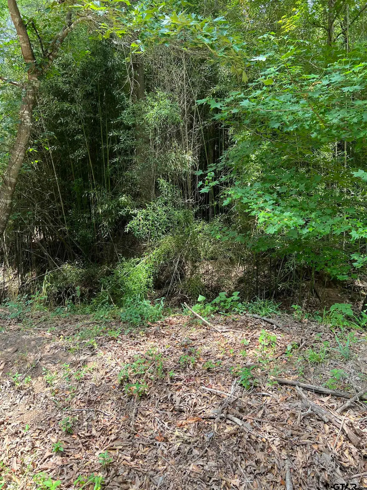 TBD CR 4130, Mount Vernon, TX 75457 - Image #1