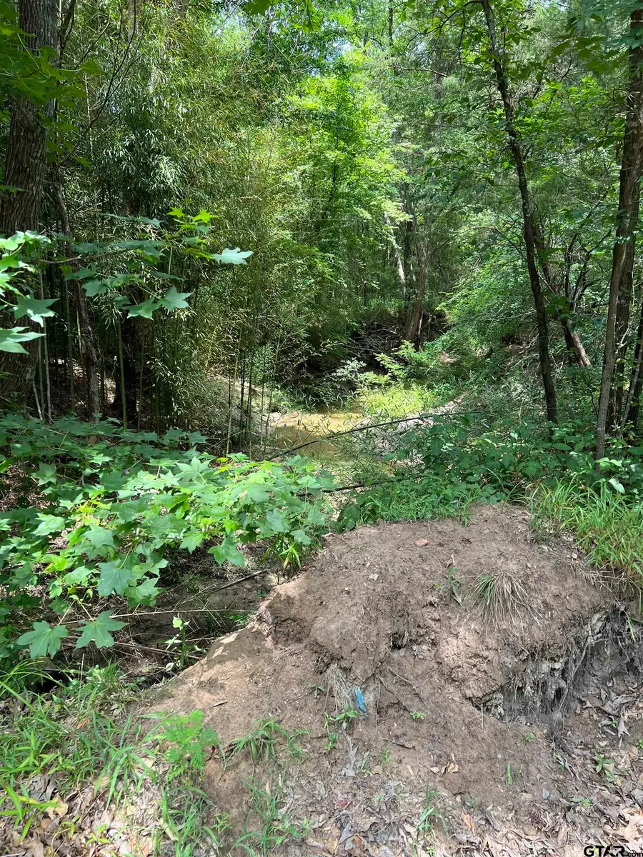 TBD CR 4130, Mount Vernon, TX 75457 - Image #2