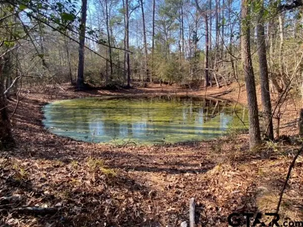 TBD FM 232, Crockett, TX 75835