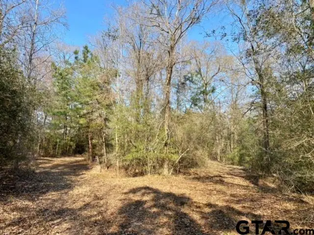 TBD FM 232, Crockett, TX 75835 - Image #3